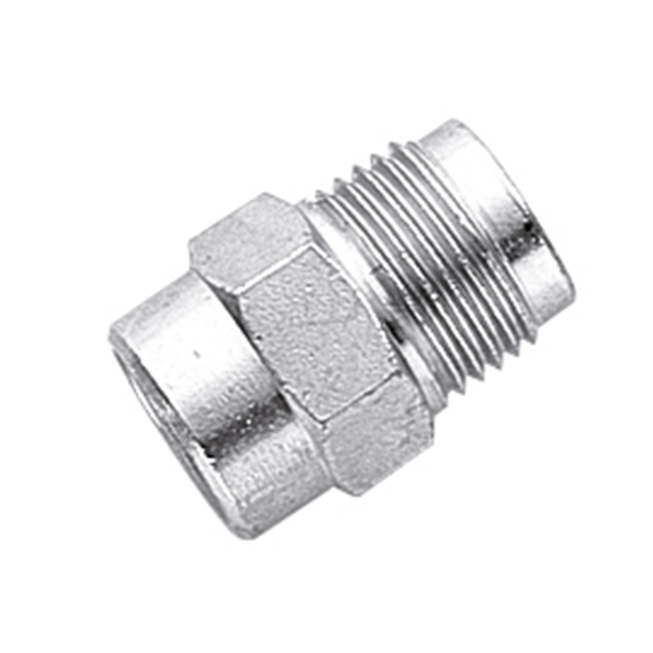 AR7 Male - 1/4 Female